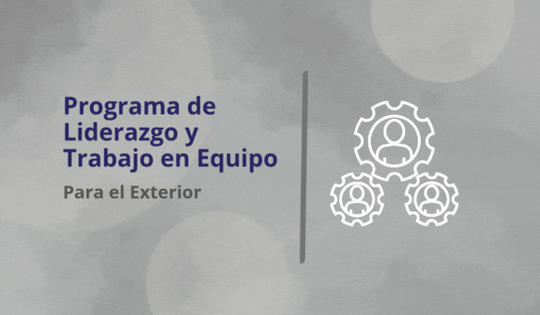 Programa Liderazgo y Trabajo en Equipo - Exterior